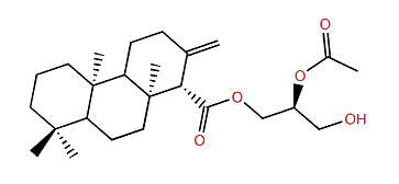 Anisodorin 2